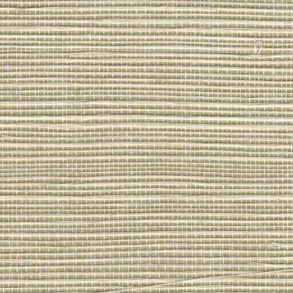 New Bali II-wallpaper-Greenland-Canary Green-Meter (M1)-G0105NS1150-Selected Wallpapers