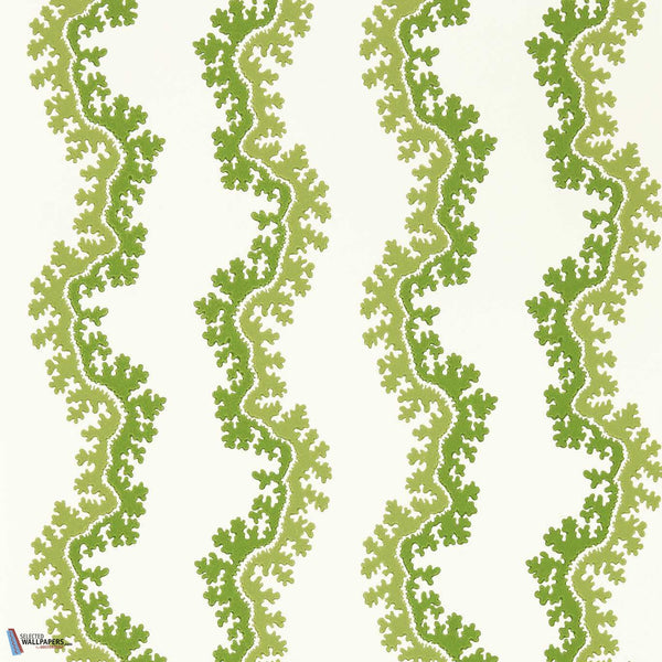 Oxbow-Tapete-Sanderson-Sape Green-Rolle-217251-Selected Wallpapers