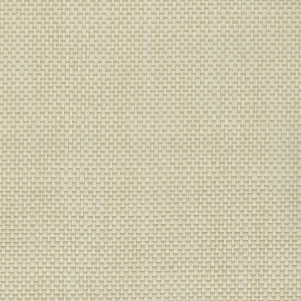Paper Weave Art Natural Palette-wallpaper-Greenland-6104-Meter (M1)-N158NP6104-Selected Wallpapers
