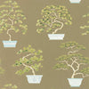 Penjing-Wallpaper-Sanderson-Scallion Green-Roll-217108-Selected Wallpapers