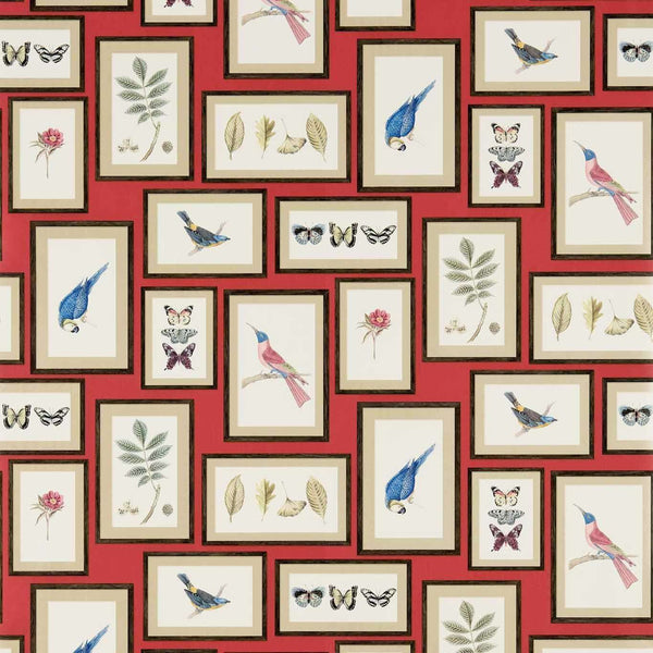 Picture Gallery-wallpaper-Sanderson-Red/Multi-Roll-213398-Selected Wallpapers