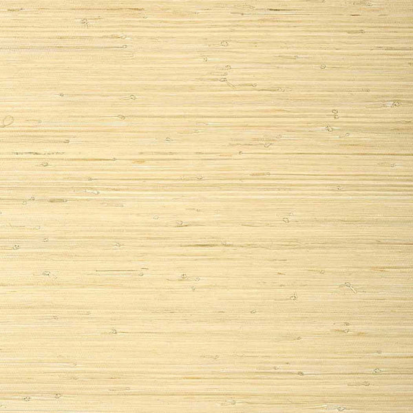 Raffia Palm-Tapete-Thibaut-Natural-Rolle-T24065-Selected Wallpapers