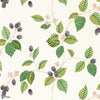 Rubus-Tapete-Sanderson-Blackberry-Rolle-217227-Selected Wallpapers