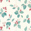 Rubus-Tapete-Sanderson-Rasberry-Rolle-217228-Selected Wallpapers