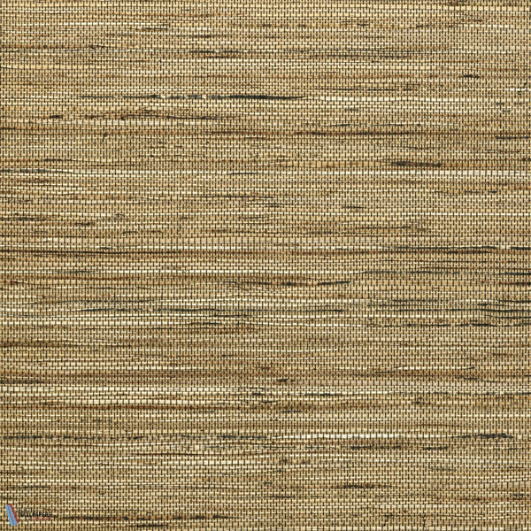 Sambe-Wallpaper-Arte-Natural Ochre-Meter (M1)-54554-Selected Wallpapers