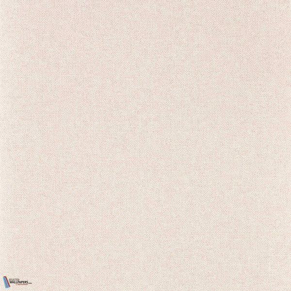Sessile Plain-Behang-Sanderson-Wild Rose-Rol-217244-Selected Wallpapers