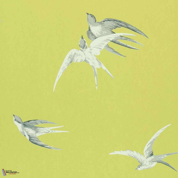 Swallows-wallpaper-Sanderson-Lime-Roll-DVIWSW101-Selected Wallpapers