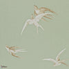 Swallows-wallpaper-Sanderson-Pebble-Roll-DVIWSW102-Selected Wallpapers