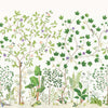 Sycamore and Oak-Wallpaper-Sanderson-Botanical Green-Roll-217211-Selected Wallpapers