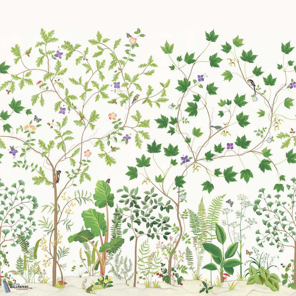 Sycamore and Oak-Wallpaper-Sanderson-Botanical Green-Roll-217211-Selected Wallpapers