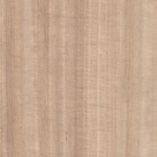 Wood Veneer Natural Palette-wallpaper-Greenland-Primary Colour-Meter (M1)-N158NV1014-Selected Wallpapers