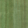 Wood Veneer Natural Palette-wallpaper-Greenland-Willow Bough-Meter (M1)-N158NV1024-Selected Wallpapers