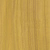 Wood Veneer Natural Palette-wallpaper-Greenland-Cadmium Yellow-Meter (M1)-N158NV1041-Selected Wallpapers