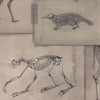 Zoo Archaeology-wallpaper-Mind the Gap-Bruin/Grijs-300 cm (standaard)-WP20236-Selected Wallpapers