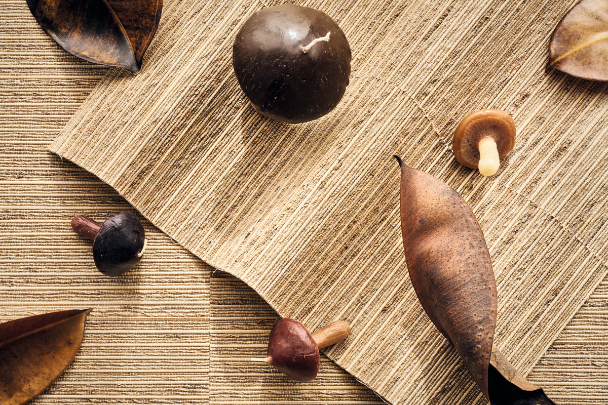 Biophilic design: wat is het en hoe pas je het toe met behang?
