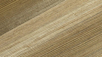 Sisal