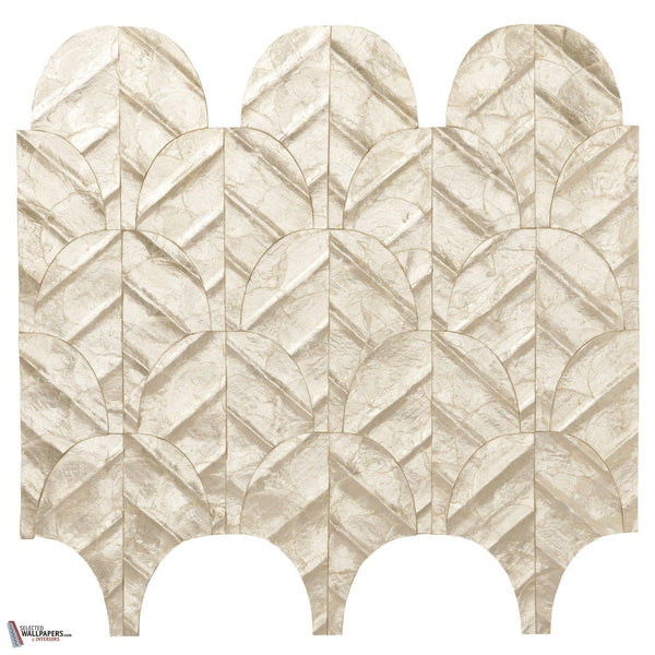 Abalone Tapete-Arte-Coquille-Doos-Selected-Wallpapers-Interiors