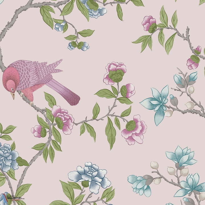 Aderyn-Little Greene-wallpaper-behang-Tapete-wallpaper-China Clay-Rol-Selected Wallpapers