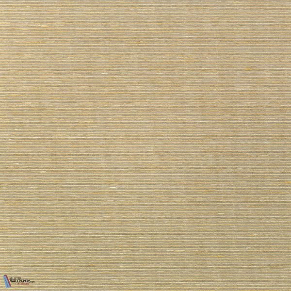 Aditi-Vescom-25-Meter (M1)-Selected-Wallpapers-Interiors