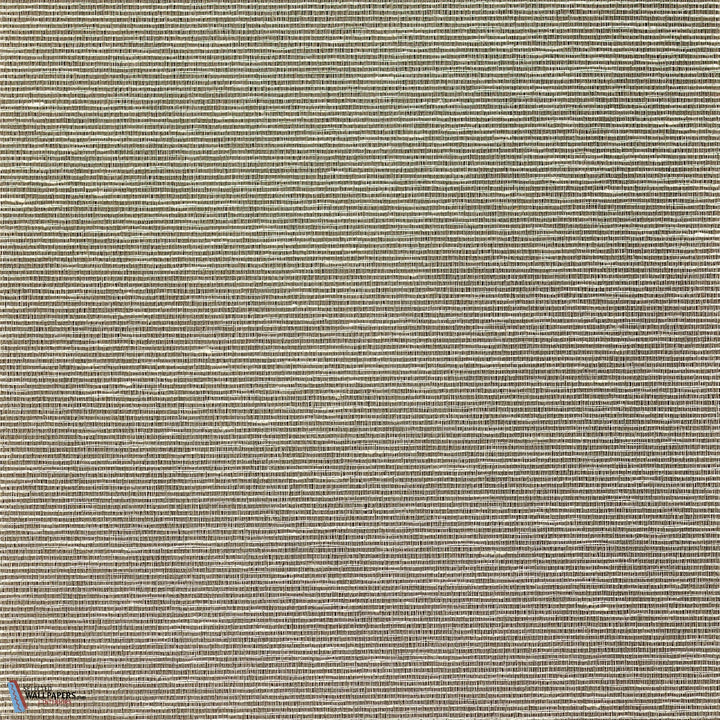 Aditi-Vescom-27-Meter (M1)-Selected-Wallpapers-Interiors