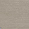 Agave-Arte-behang-Pigeon-Meter (M1)-Selected Wallpapers