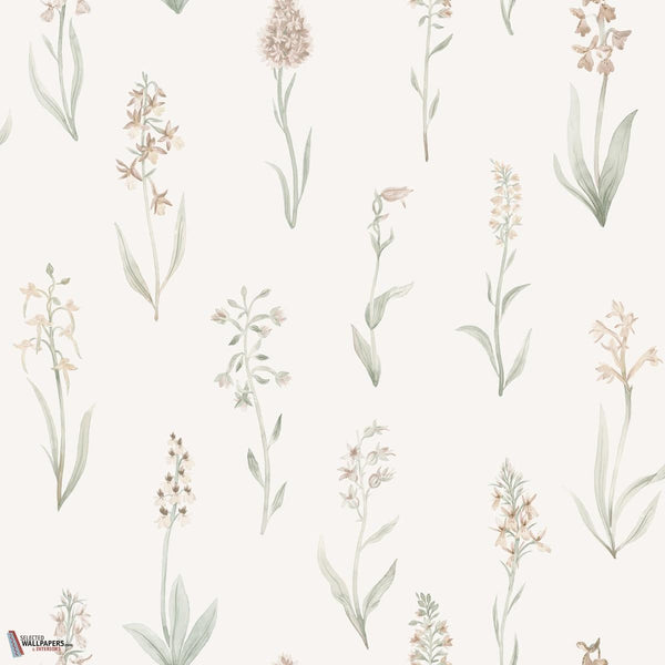 Alma behang-Sandberg-Blush-Rol-Selected Wallpapers-Interiors
