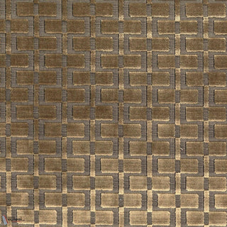 Analogie Sable