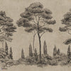 Andrea wallpaper-Sandberg-Graphite-Mattic-M2-Selected Wallpapers-Interiors