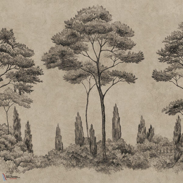 Andrea wallpaper-Sandberg-Graphite-Mattic-M2-Selected Wallpapers-Interiors