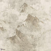 Avorio