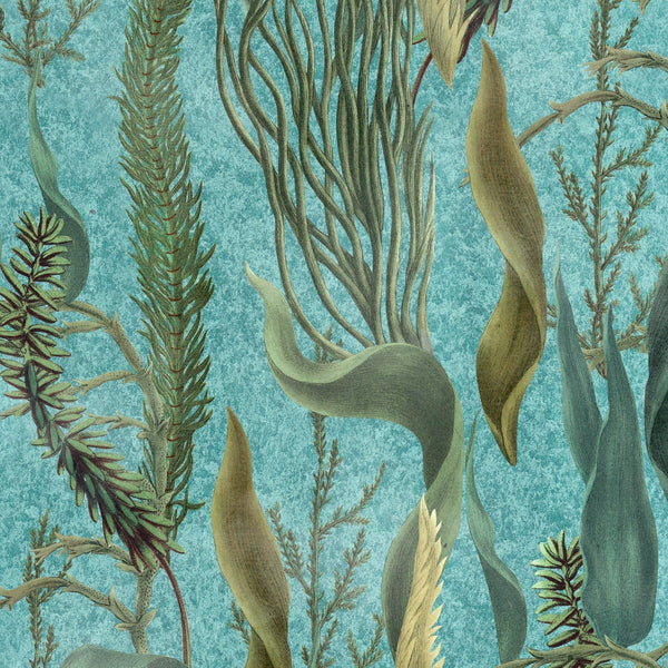 Aquatic Plants wallpaper-Mind the Gap-Aquamarine-300 cm (standaard)-Selected-Wallpapers-Interiors