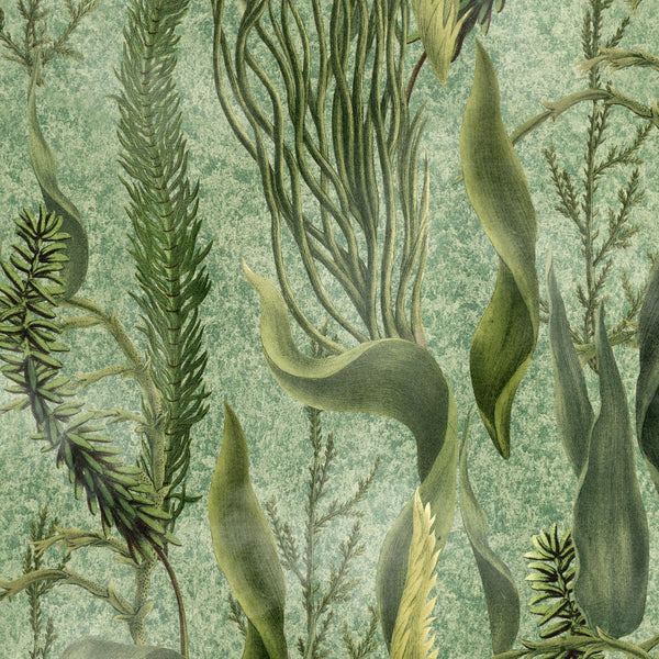 Aquatic Plants wallpaper-Mind the Gap-Green-300 cm (standaard)-Selected-Wallpapers-Interiors