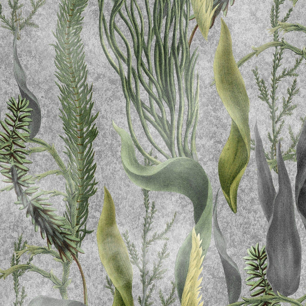 Aquatic Plants wallpaper-Mind the Gap-Grey-300 cm (standaard)-Selected-Wallpapers-Interiors