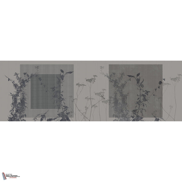 ARBOR VITAE GLXV521 Combined Design