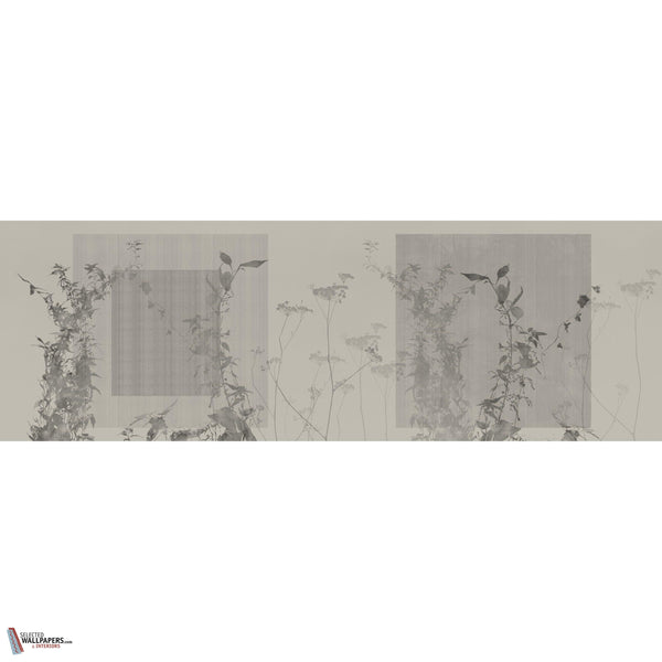 ARBOR VITAE GLXV522 Combined Design