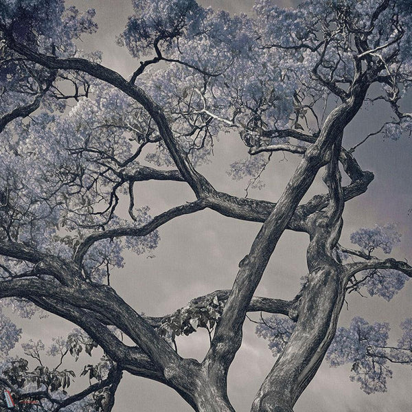 Arborescent Labyrinth behang-behang-LondonArt-1-RAW-S120-M2-Selected Wallpapers & Interiors