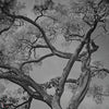 Arborescent Labyrinth behang-behang-LondonArt-3-RAW-S120-M2-Selected Wallpapers & Interiors