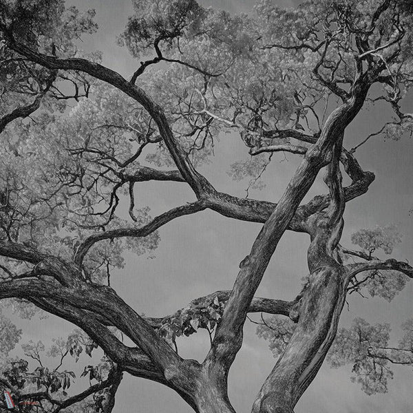 Arborescent Labyrinth behang-behang-LondonArt-3-RAW-S120-M2-Selected Wallpapers & Interiors