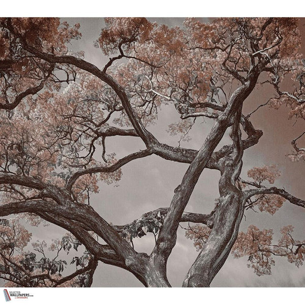 Arborescent Labyrinth behang-behang-LondonArt-Selected Wallpapers & Interiors