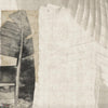 GLXVI241A