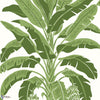 Banana Tree-Behang-Thibaut-Green-Rol-T13914-Selected Wallpapers