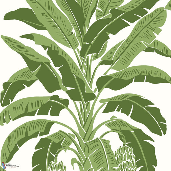 Banana Tree-Behang-Thibaut-Green-Rol-T13914-Selected Wallpapers