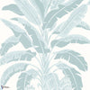Banana Tree-Behang-Thibaut-Spa Blue-Rol-T13916-Selected Wallpapers
