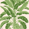 Banana Tree-Behang-Thibaut-Pink and Green-Rol-T13917-Selected Wallpapers