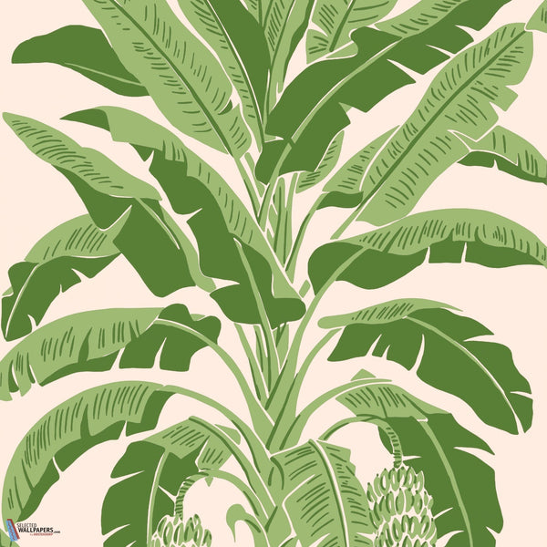 Banana Tree-Behang-Thibaut-Pink and Green-Rol-T13917-Selected Wallpapers