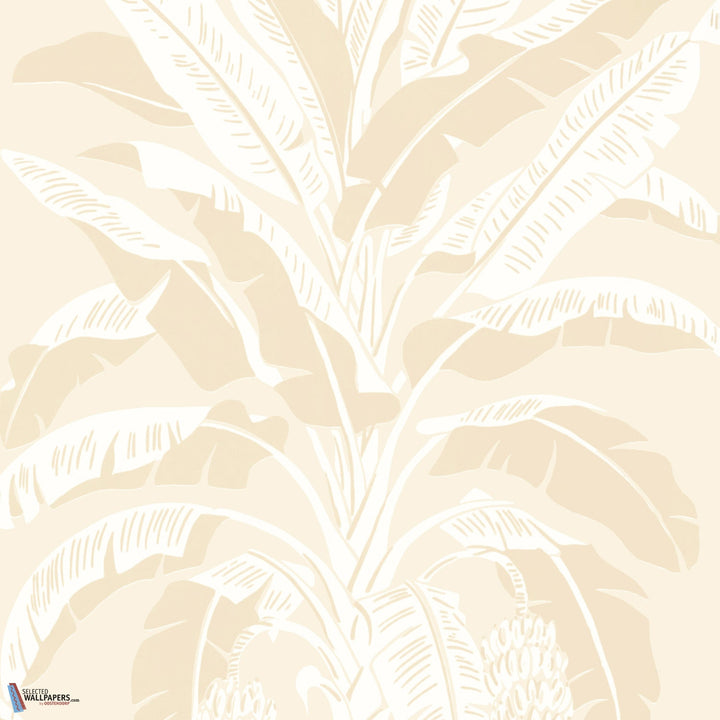 Banana Tree-Behang-Tapete-Thibaut-Beige-Rol-T13920-Selected Wallpapers