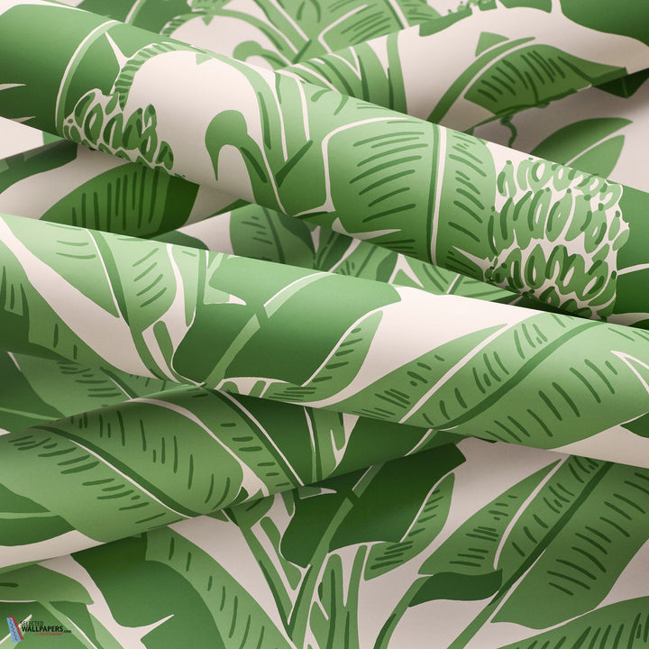 Banana Tree-Behang-Tapete-Thibaut-Selected Wallpapers