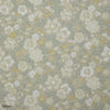 Lichen