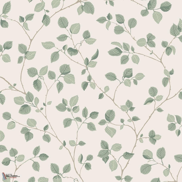 Bokskog behang-Sandberg-Garden Green-Rol-Selected Wallpapers-Interiors