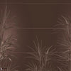 Bonfire behang-Wall & Deco-01-d.ecodura Texture-M2-Selected Wallpapers-Interiors